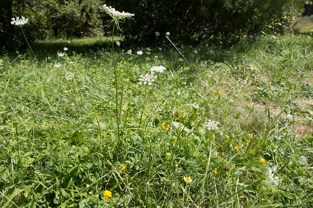 the ether swaddles me | you | us