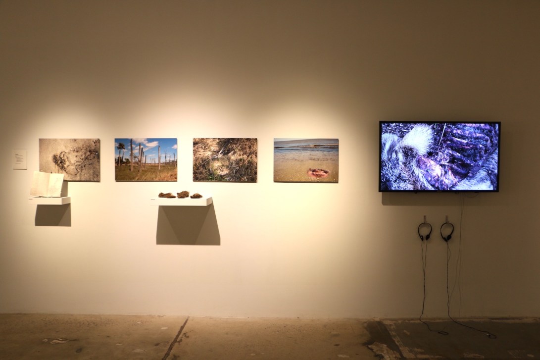 maybe it always disintegrates