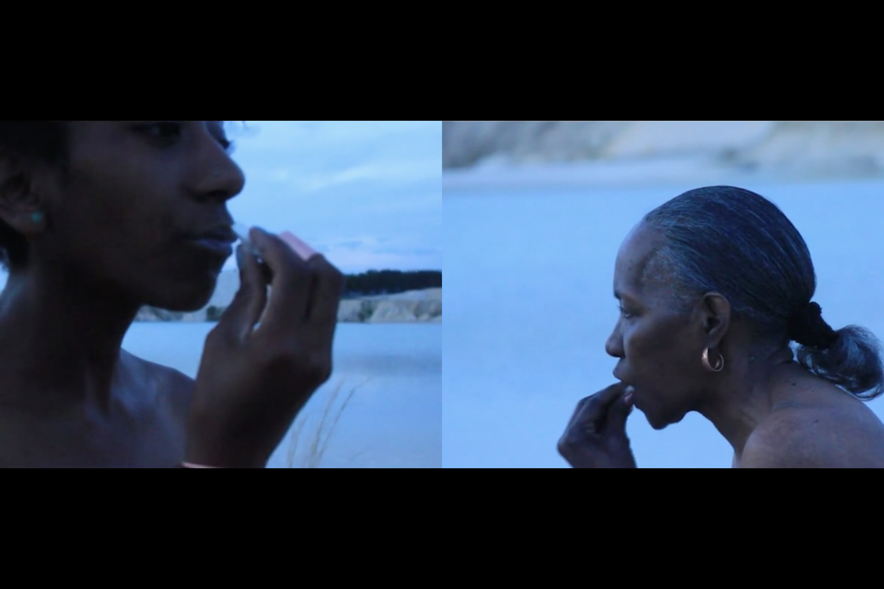 Iman Person, Earth Medicine (2014)